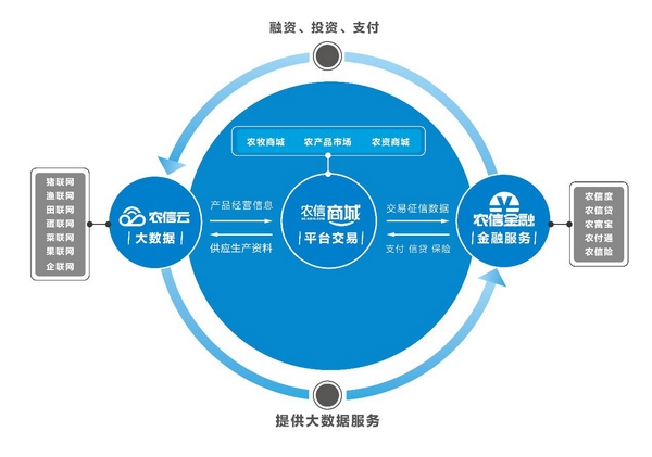 企业生态化业务体系